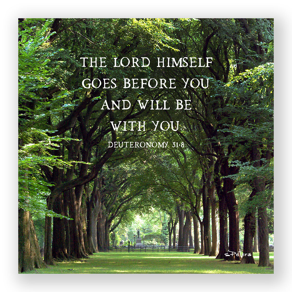 Central Park (Deuteronomy 31:8) - Mini Print