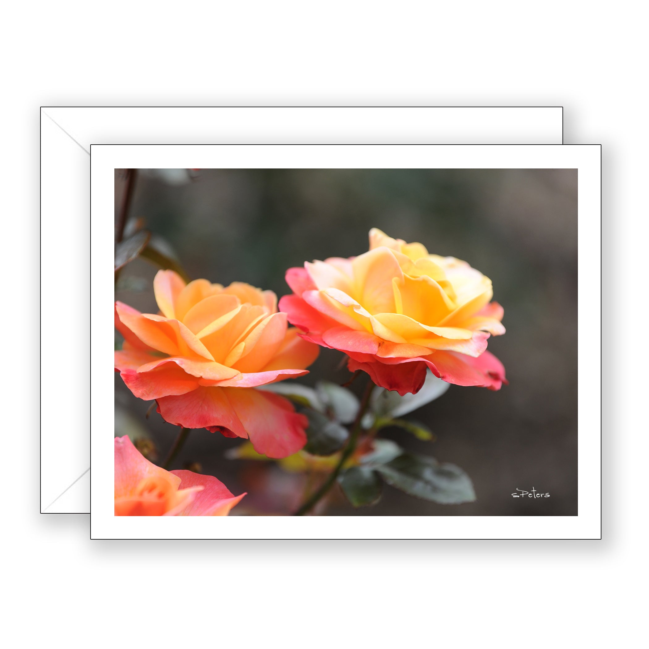 Chelsea Notecard - Blank Art Card